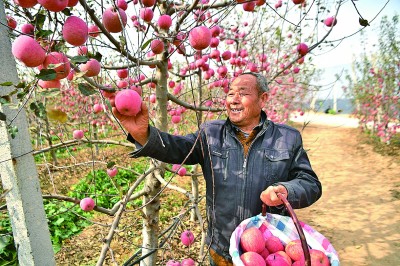 “这是最好的、最合适的产业”