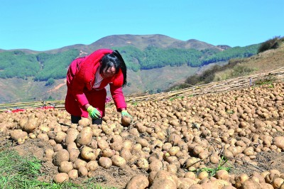 科技赋能乡村振兴