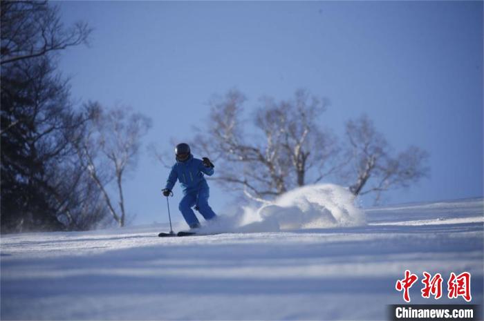 双板滑雪爱好者在畅滑中 亚布力阳光度假村滑雪场 摄