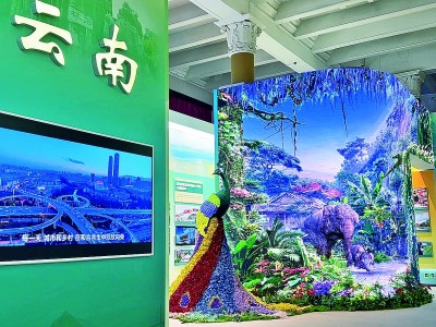 【奋进新时代·展品背后的故事】“北移象群”的奇幻之旅和神秘家园