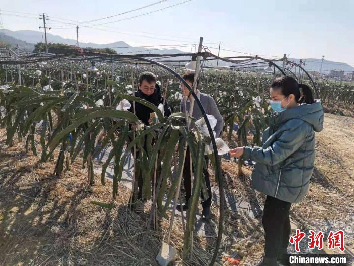 钟昌穗(右一)和同事们在防寒防冻现场。　福州市妇联供图