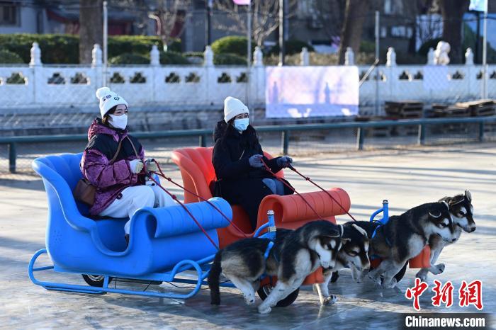 图为北京什刹海冰场。　中新社记者 田雨昊 摄