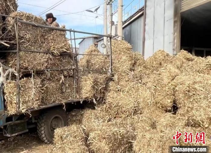 景孝义说：“现在不但北宋壁村不烧秸秆，我们还会给周边村村民免费旋地，回收秸秆。” 宋梓玮 摄