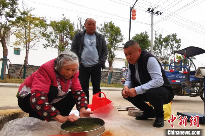 蹲在新家门口，姚柏松的妻子筛着中草药。　赖家权 摄