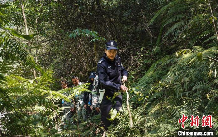 桂林市公安局猫儿山派出所一级警长杨伯伦在巡山。　广西公安厅供图