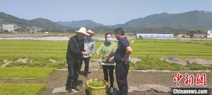 钟昌穗(右二)现场为农户解决技术问题。　福州市妇联供图