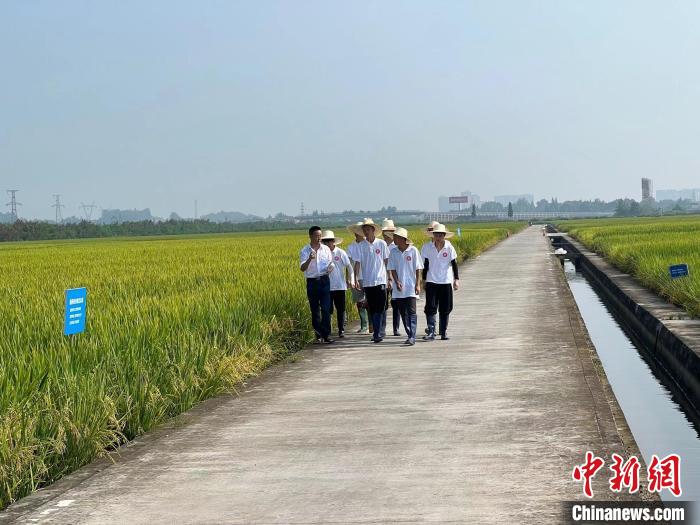 眉山职业技术学院师生在开展教学实践。　陈航 摄