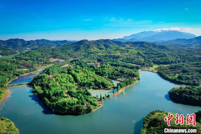 江西共青城市泽泉乡潘家湾研学旅行营地，3000亩绿色大自然变成研学“最美课堂”。　共青城市融媒体中心供 摄