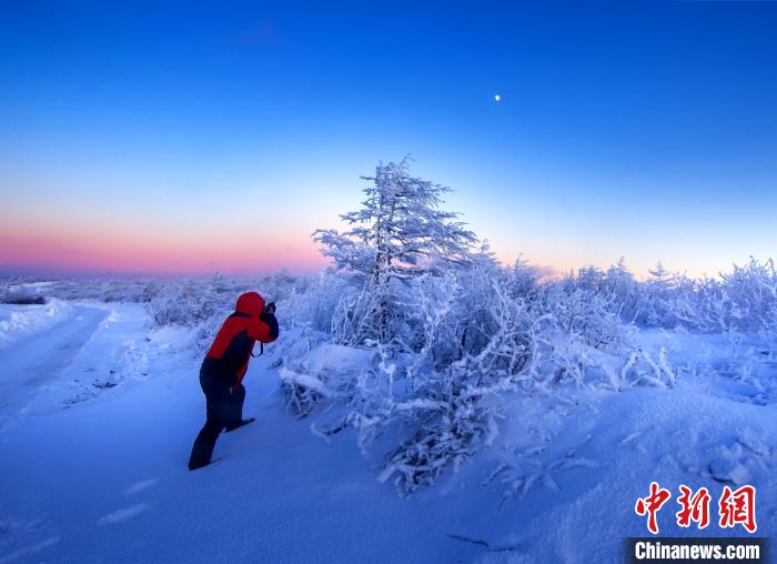 摄影爱好者拍摄雾凇美景。　田云祥 摄