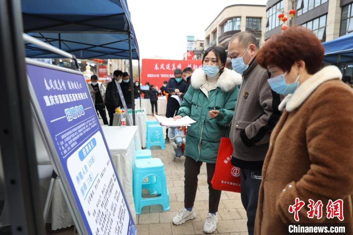 图为求职者查看招聘信息。 重庆人社供图 图为求职者查看招聘信息。 重庆人社供图