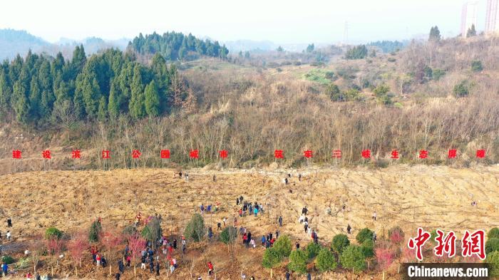 宜昌社会各界义务植树筑牢三峡生态屏障(资料图) 董晓斌 摄