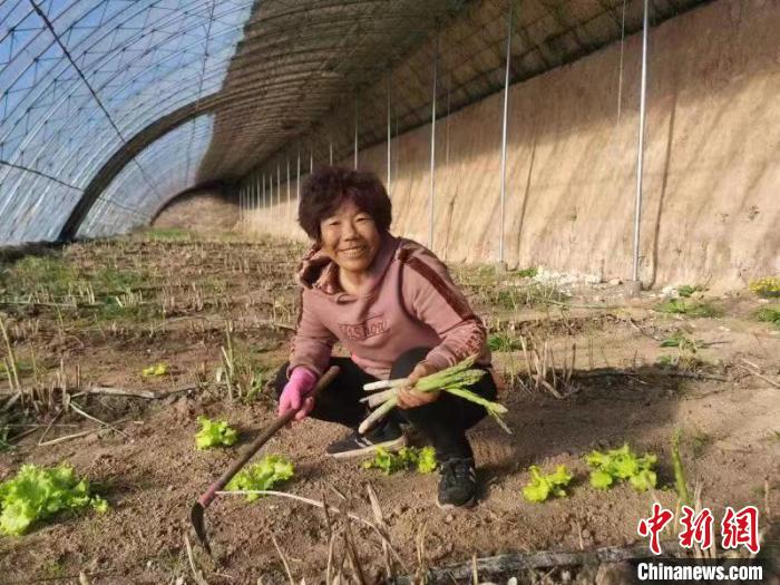 图为内蒙古赤峰市林西县农民在大棚里干活(资料图)。　陈晓云 摄