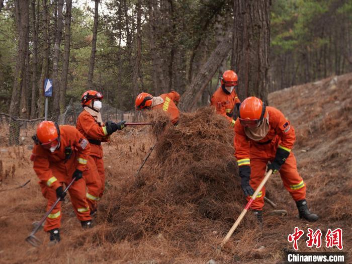 图为森林消防员正在进行林下可燃物清理。　巴宜区森林消防中队供图