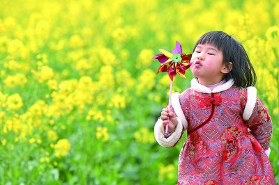 踏青赏花 乐享春光