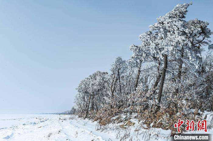 兴凯湖畔现雾凇美景。　魏波 摄