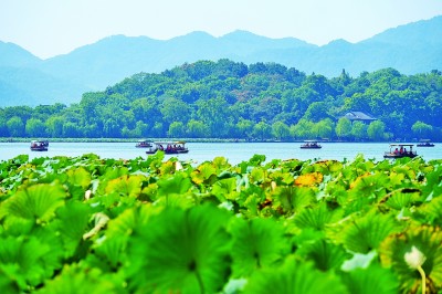 景区免票 如何让“流量”变“留量”