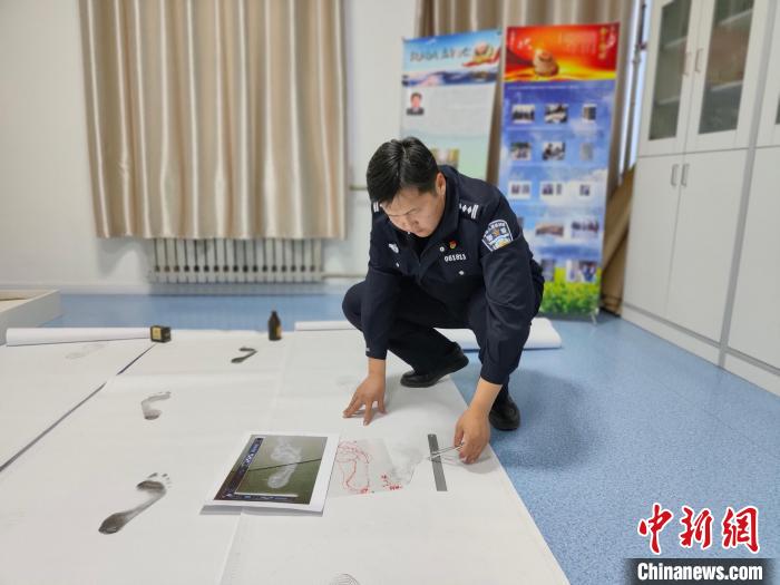 图为程锐在工作室研究足迹样本。 单志勇供图 图为程锐在工作室研究足迹样本。 单志勇供图