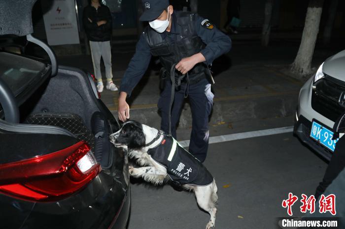 警犬参与“清隐”行动 于浩洋 摄