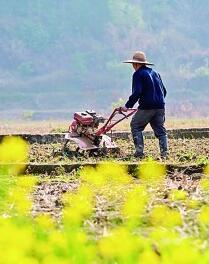 守护耕地，让“希望的田野”春意盎然