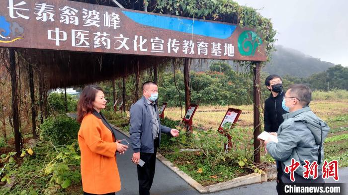 石铭村的中草药长廊规划建设成为中医药文化宣传教育基地。　杨伏山 摄