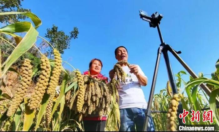 武乡县挖掘地方特色产业和文化，激活乡村产业发展新业态。　山西省乡村振兴局供图