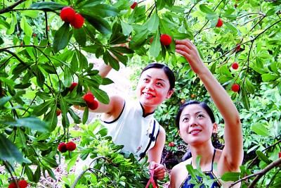 在浙江，生物多样性这样赋能共同富裕