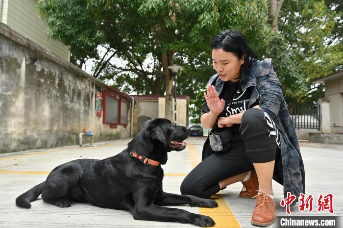 崔静宜训练宠物犬趴下。　俞靖 摄