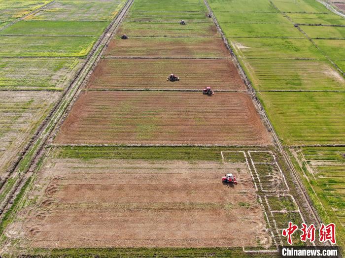 航拍江西省南昌市南昌县大田农社春耕场景。　刘力鑫 摄