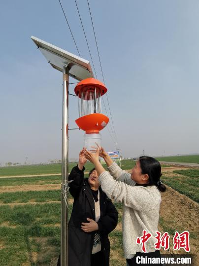 图为植保人员在查看太阳能杀虫灯运行情况。　高雷 摄