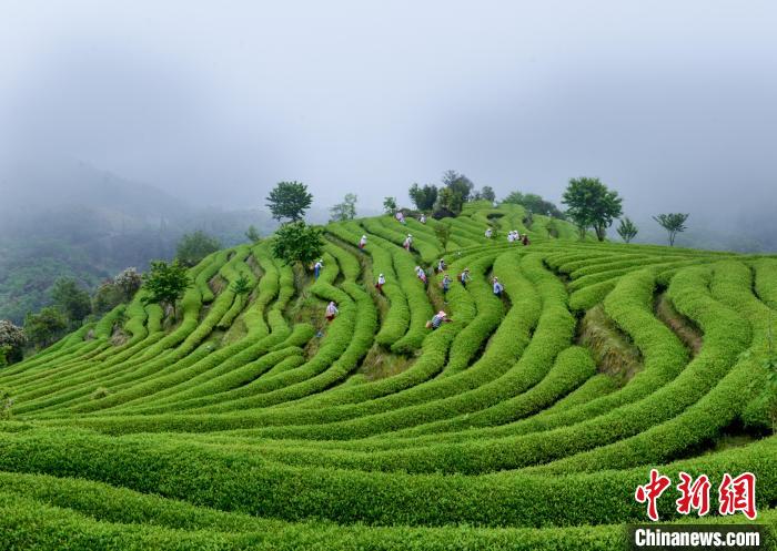 建瓯市以森林绿道建设为纽带，投入近亿元，大力发展森林生态休闲旅游。图为东游镇观光花园。　魏永青 摄