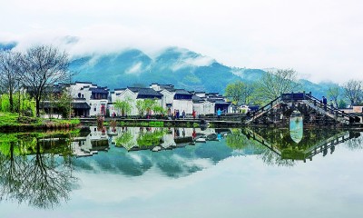 雨后春景