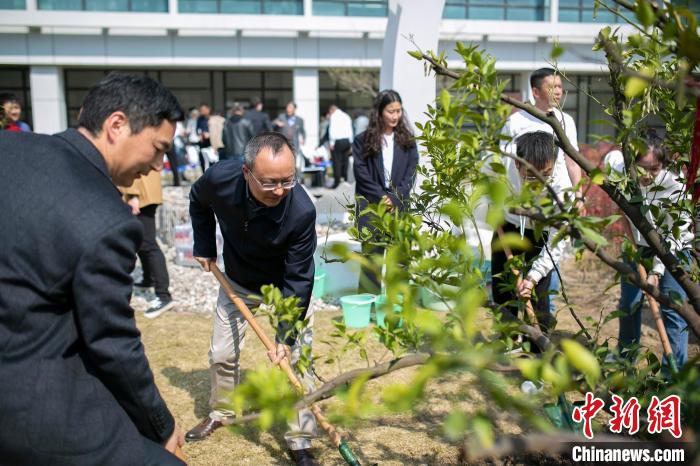 华东师范大学永宁橘园捐建仪式暨植树文化节举行。　华东师范大学供图