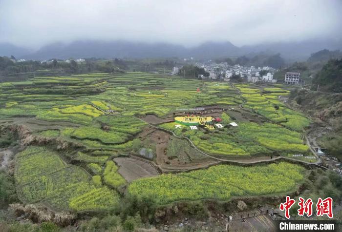 图为宣城市绩溪县家朋乡梅干岭油菜花梯田。　刘鸿鹤 摄