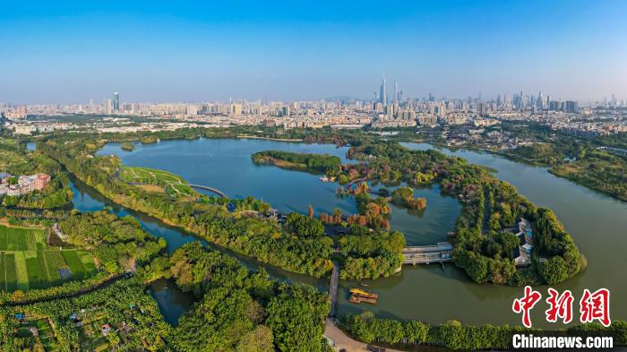 广州海珠湿地 广东省林业局 供图