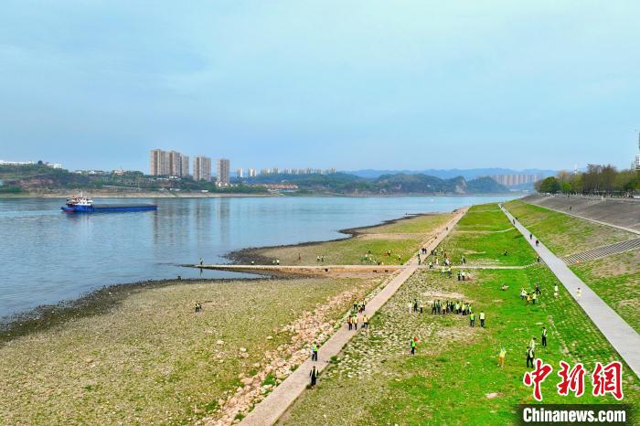 在宜昌城区长江岸畔，市民化身“护江使者”沿江而行 周星亮 摄