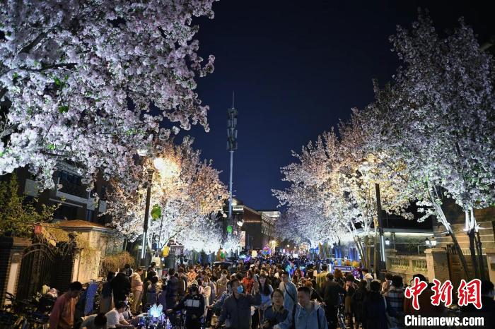 图为市民及游客在五大道夜游赏花。　佟郁 　摄