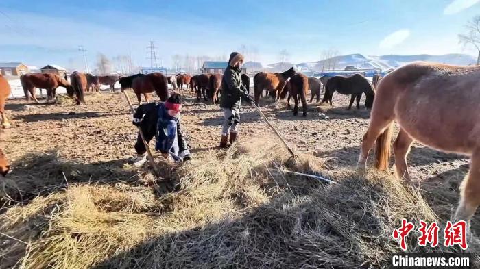 图为小鱼和光哥挑草、饮马。　小鱼供图