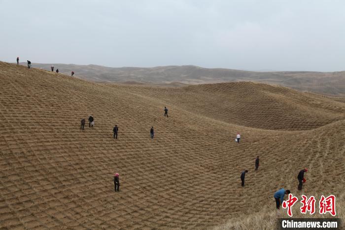 草方格治沙技术大放异彩(资料图)。　宁夏灵武白芨滩国家级自然保护区管理局供图