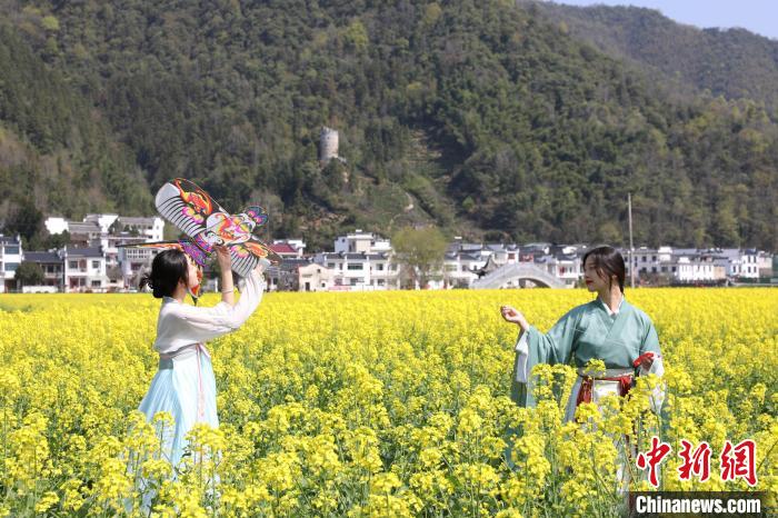 游客在油菜花田里拍照 汪澄 摄