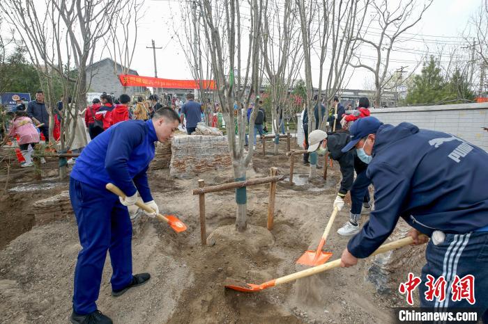 图为北京市民参加义务植树活动。　北京市园林绿化局供图