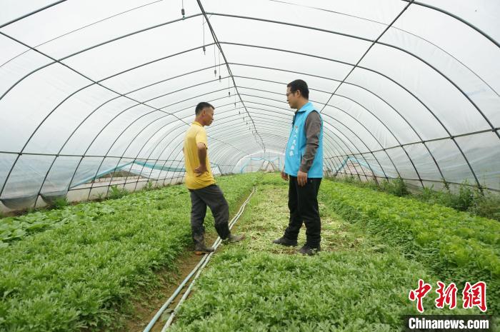 图为黄保持(右)来到全州县凤凰镇大坪村委大棚果蔬种植基地，了解农户蔬菜种植情况。　欧惠兰 摄