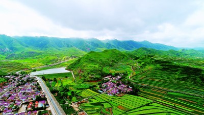 宁夏：绿了草原，富了农牧民