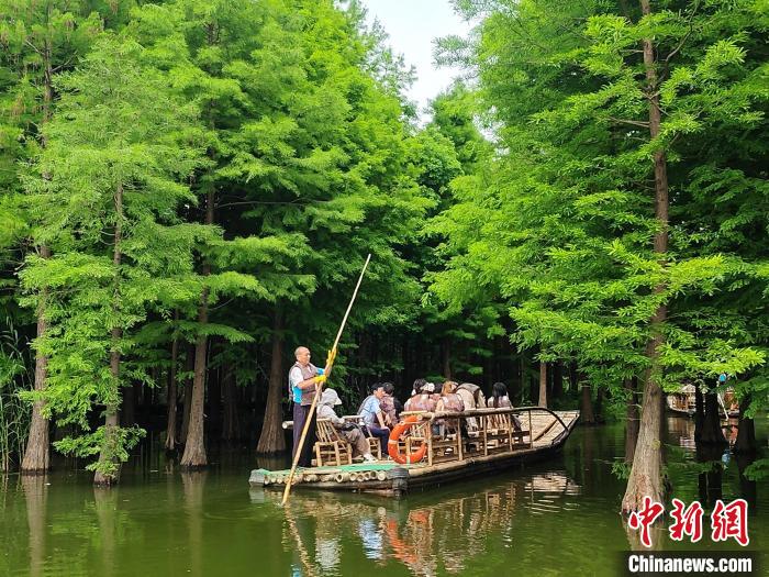 游客乘坐竹筏漂过水上森林。　谷华 摄