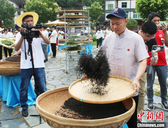 坦洋工夫茶制作技艺展示。　林榕生 摄