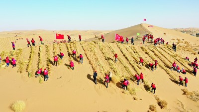 敢于大漠绘丹青——甘肃武威防沙治沙、以沙致富的生动实践