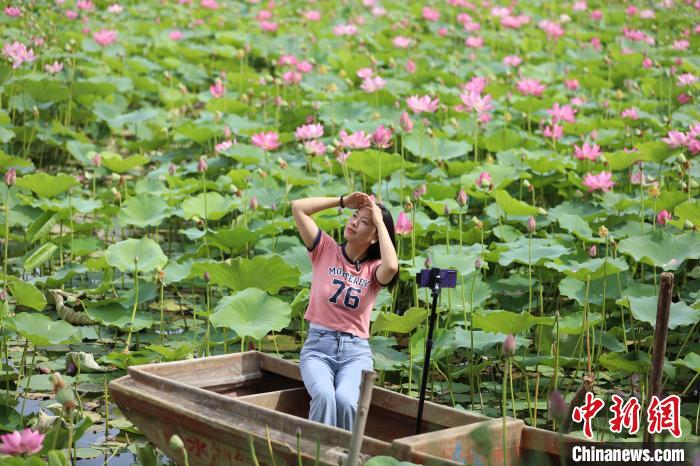 图为游客在衡水湖中的荷花丛中自拍。　王铁良 摄