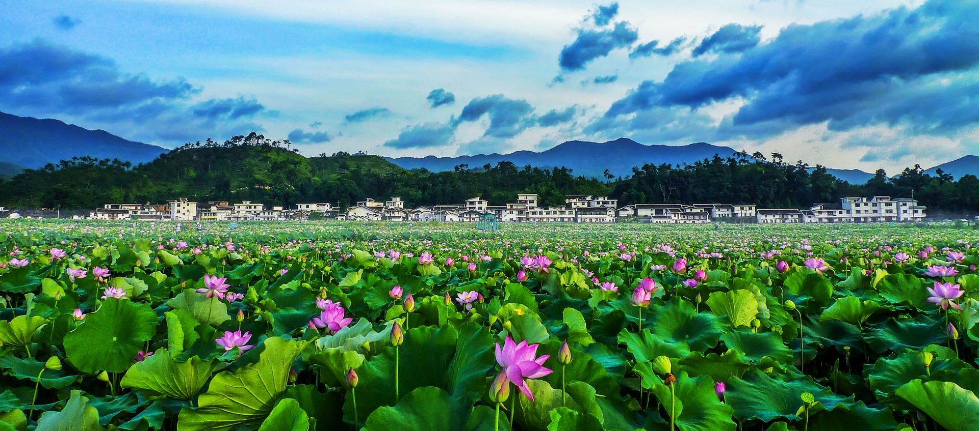 平顶山莲花盆村图片