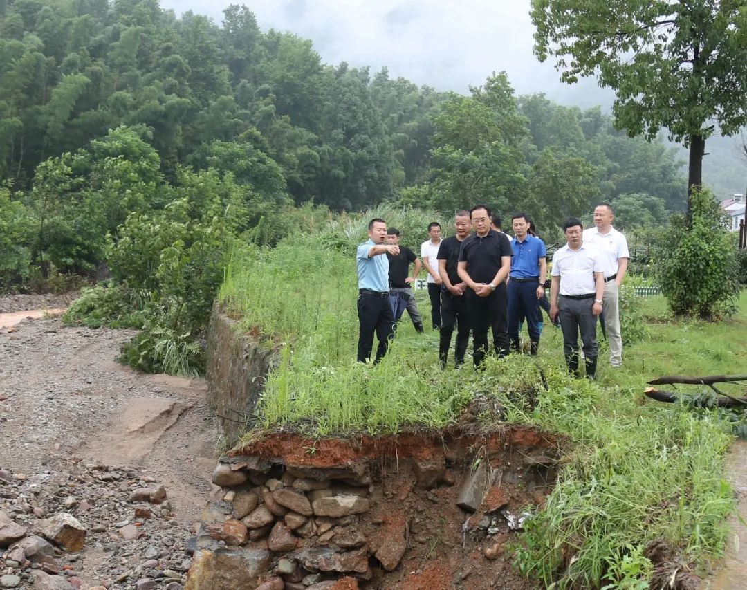 全力以赴防汛救災武寧縣委書記杜少華到羅坪鎮石渡鄉督查指導防汛工作