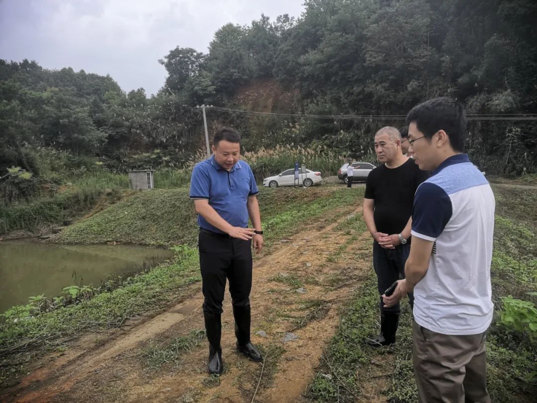 武宁县副县长武文斌率队督查山塘水库防汛备汛度汛情况