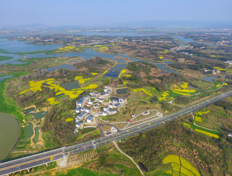 彭泽县即将修建公路图片